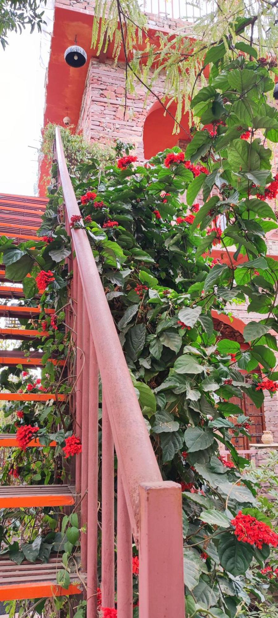 The Secret Garden Bed & Breakfast Pushkar Ngoại thất bức ảnh