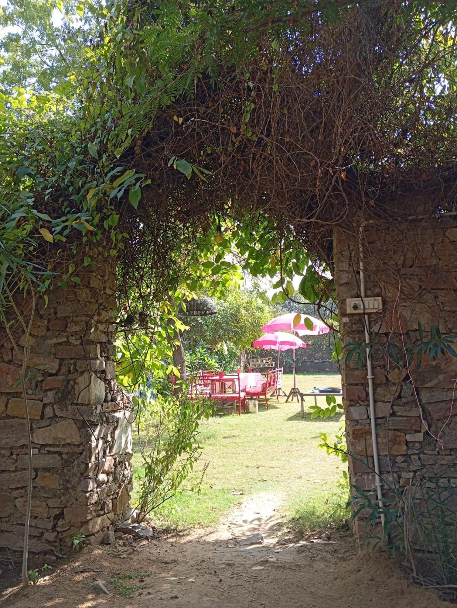 The Secret Garden Bed & Breakfast Pushkar Ngoại thất bức ảnh