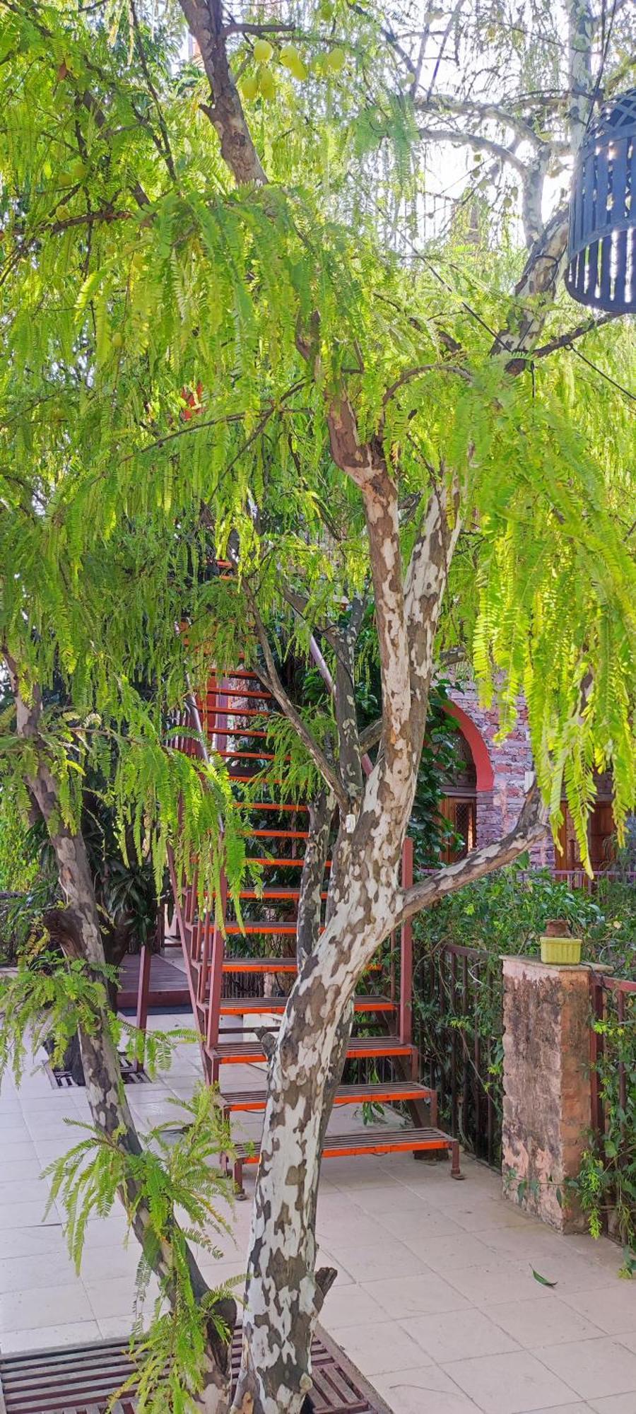 The Secret Garden Bed & Breakfast Pushkar Ngoại thất bức ảnh