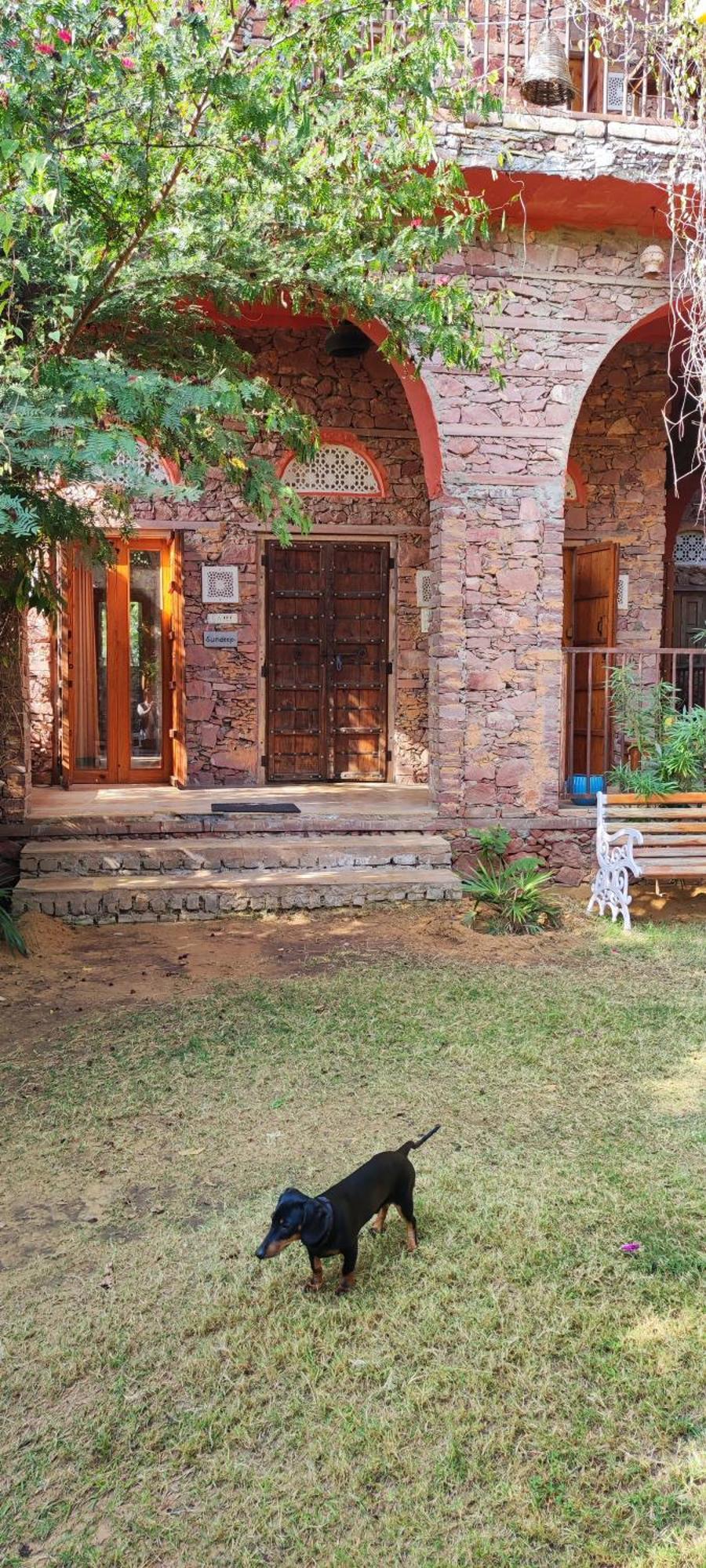 The Secret Garden Bed & Breakfast Pushkar Ngoại thất bức ảnh