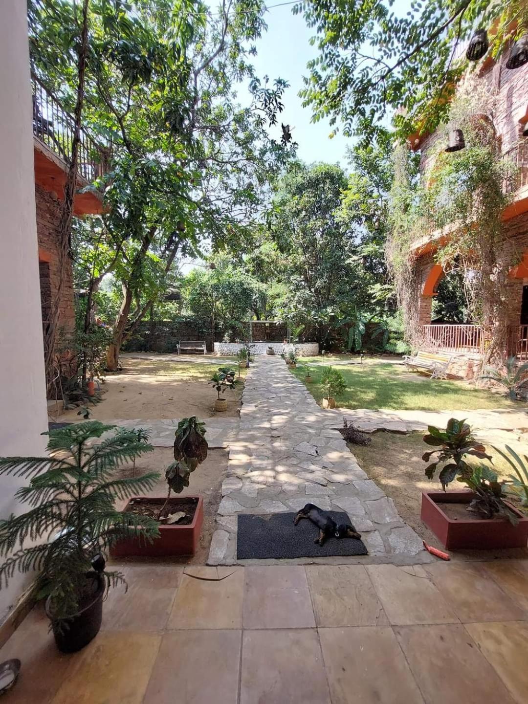 The Secret Garden Bed & Breakfast Pushkar Ngoại thất bức ảnh