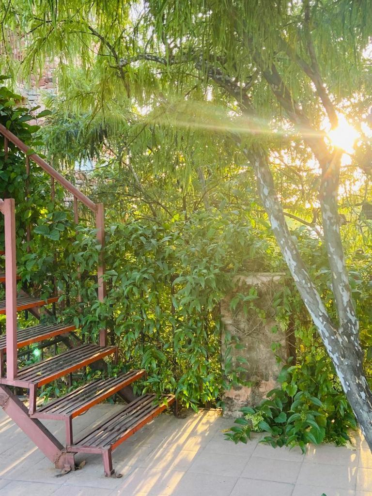 The Secret Garden Bed & Breakfast Pushkar Ngoại thất bức ảnh