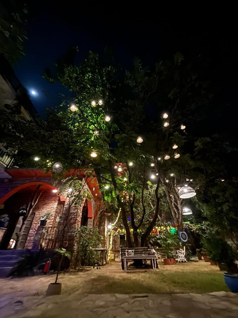 The Secret Garden Bed & Breakfast Pushkar Ngoại thất bức ảnh